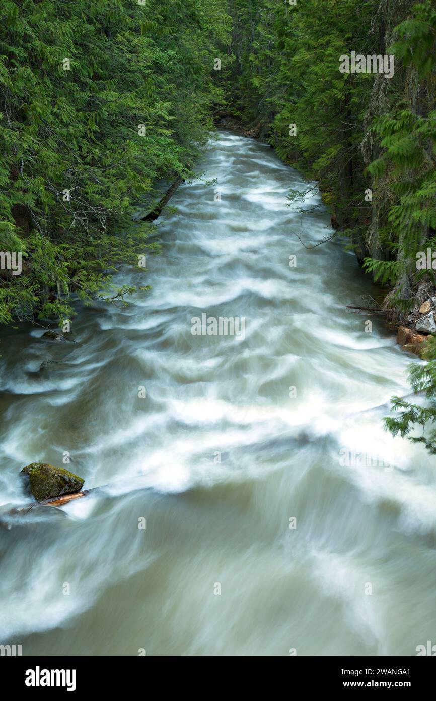 Myrtle Creek Kaniksu National Forest Idaho Stock Photo Alamy