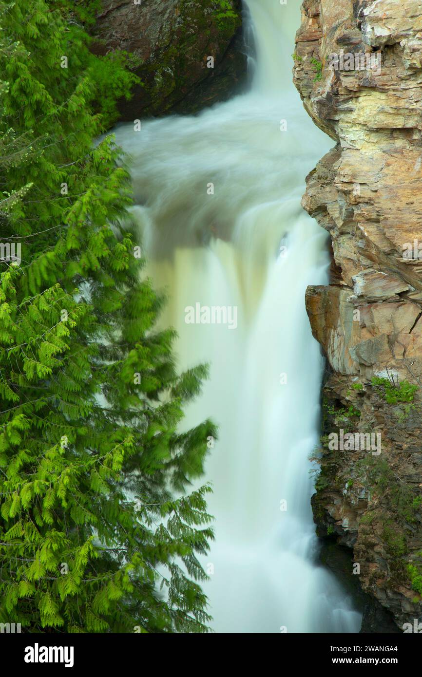 Myrtle Creek Falls Kaniksu National Forest Idaho Stock Photo Alamy