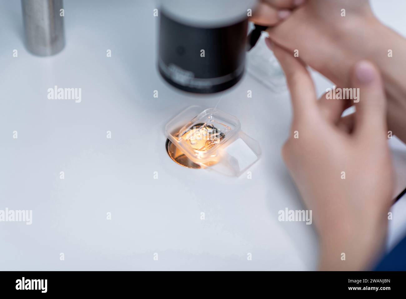 Doctor in the lab. Insemination process of the egg by embryologist in the laboratory of the in vitro fertilization. Stock Photo