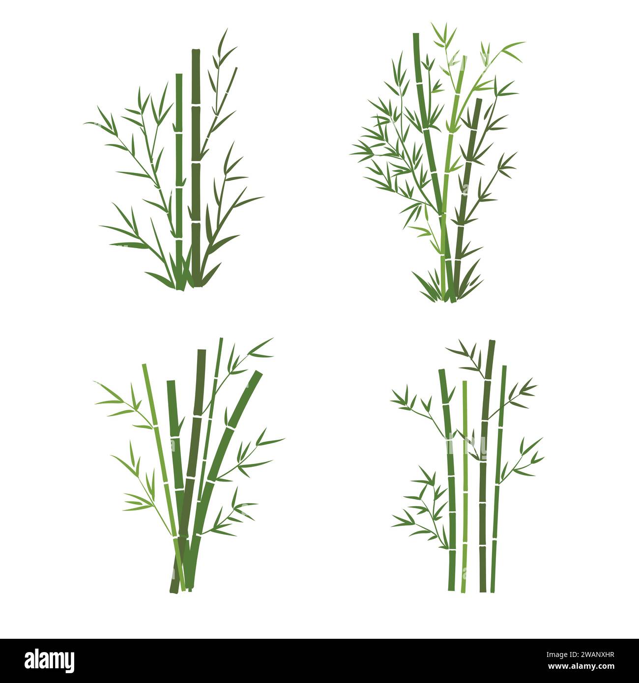 Bamboo tree leaf vector illustration , plant stem and stick. Bamboo green and brown decoration elements Stock Vector