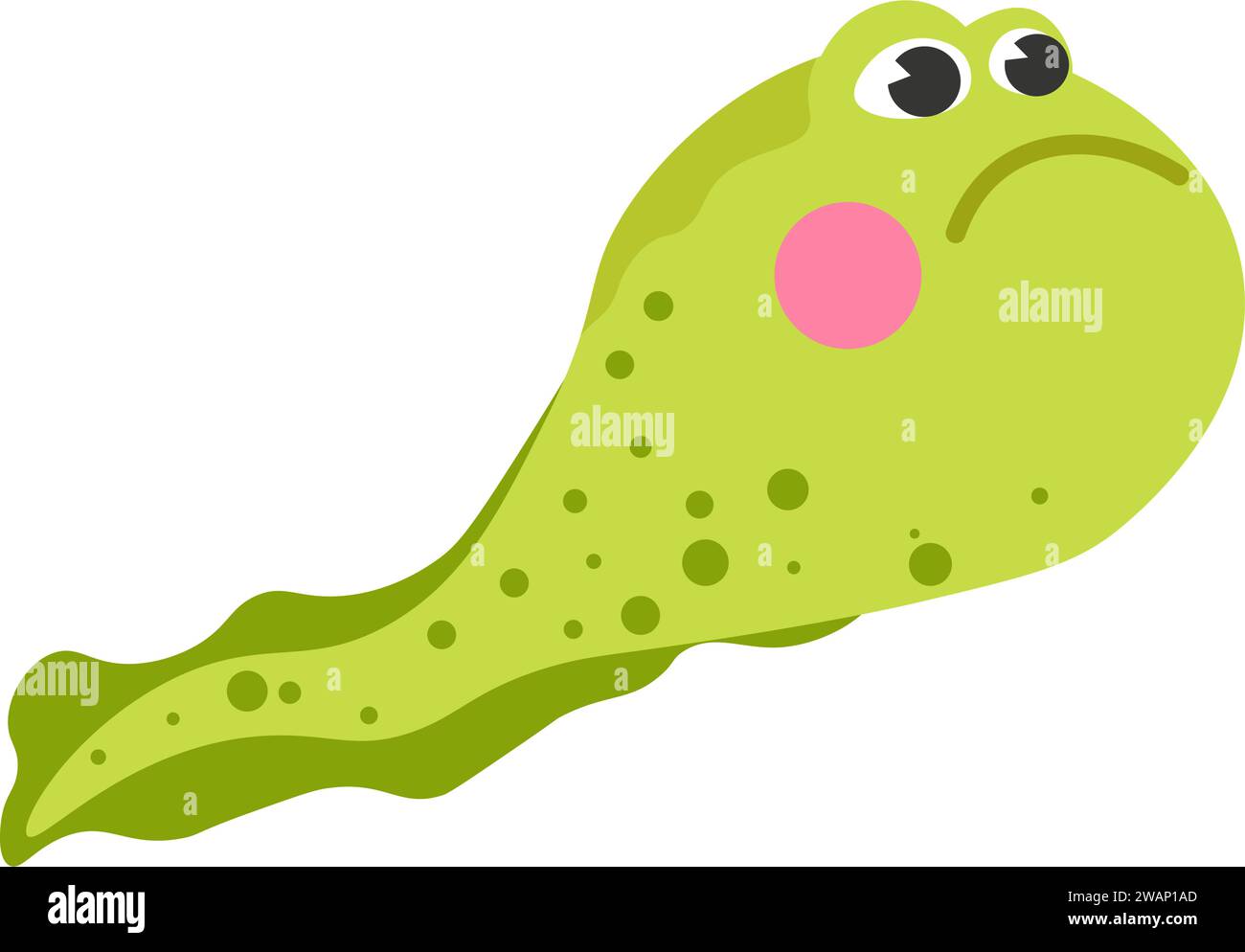 Tadpole or little froggy swimming, water creature Stock Vector Image