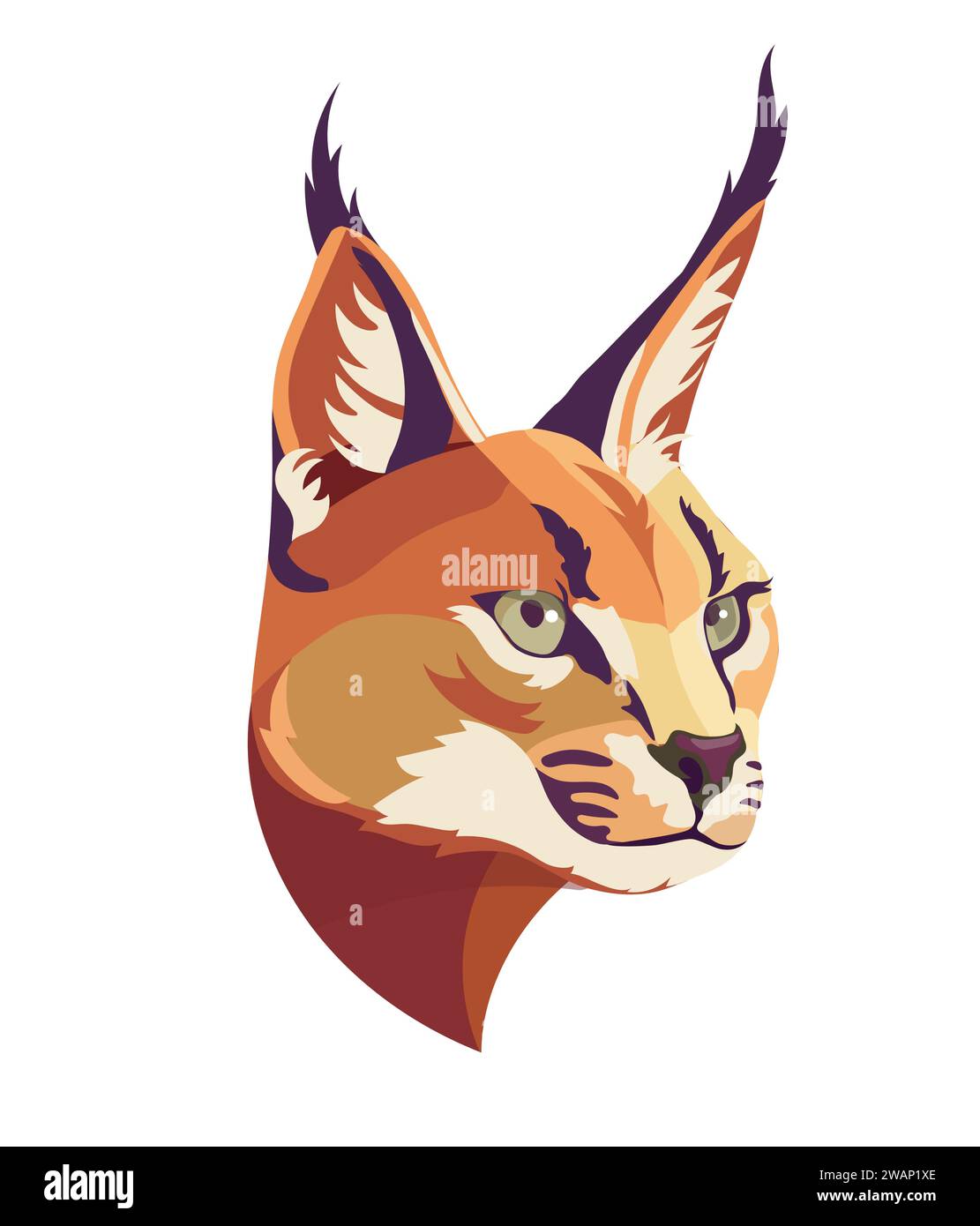 Caracal wild cat isolated vector illustration. Hand drawn color caracal sketch animal. isolated vector illustration. Hand drawn color caracal sketch a Stock Vector