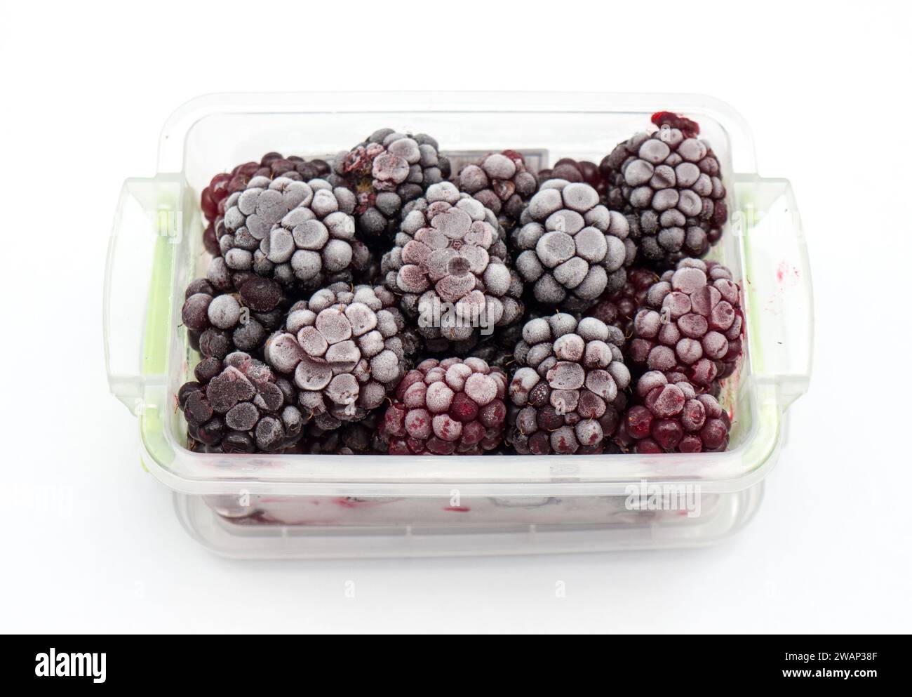 Frozen blackberry. Stock Photo