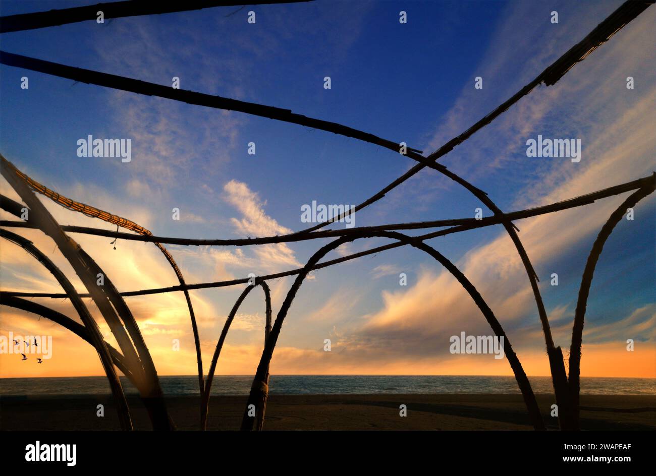 Five seagulls and a cane installation on the beach overlooking the Mediterranean at Benejarafe in Malaga Province, Andlaucia, Spain Stock Photo