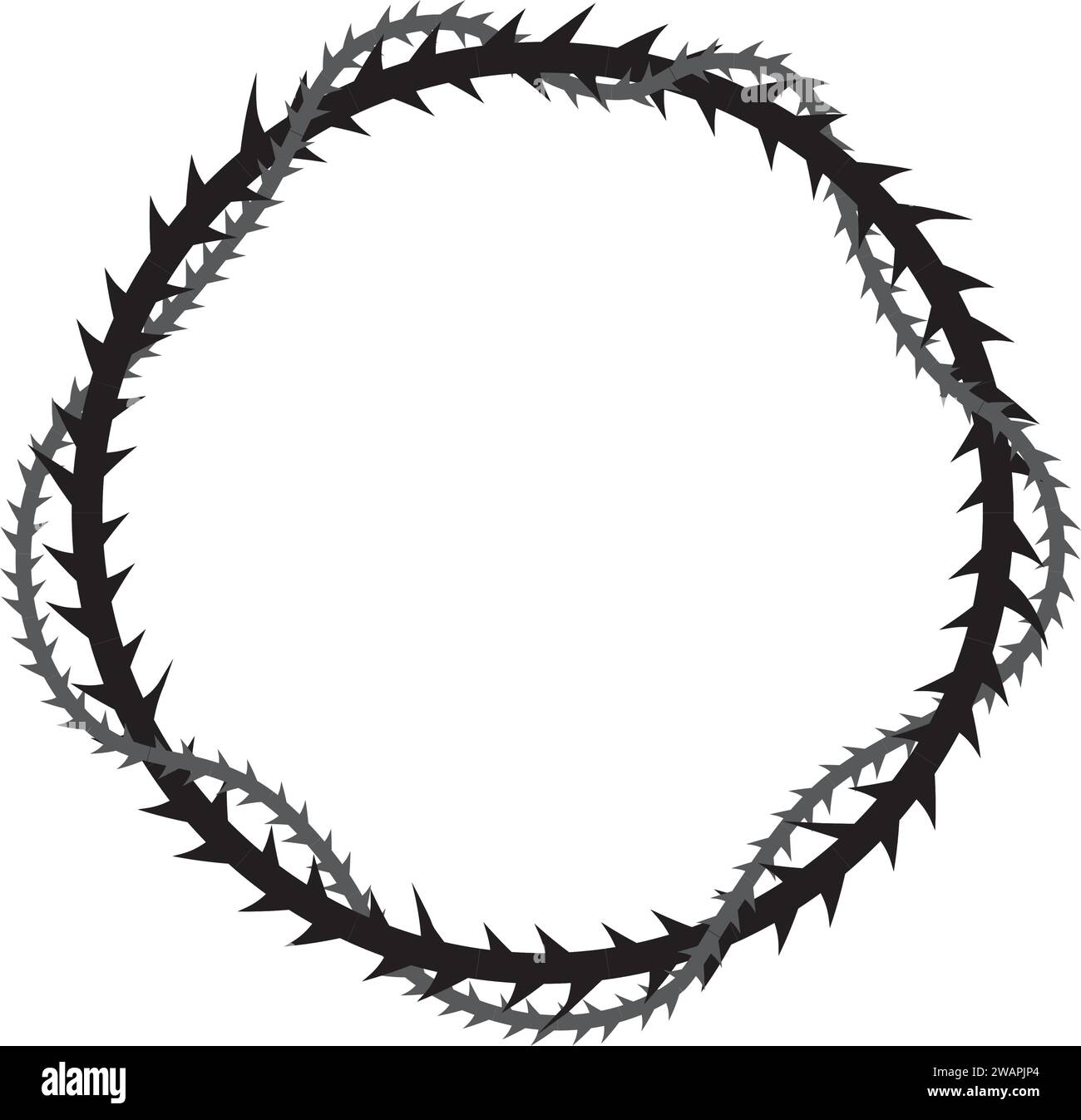 here-the-christs-crown-of-thorns-stock-vector-images-alamy