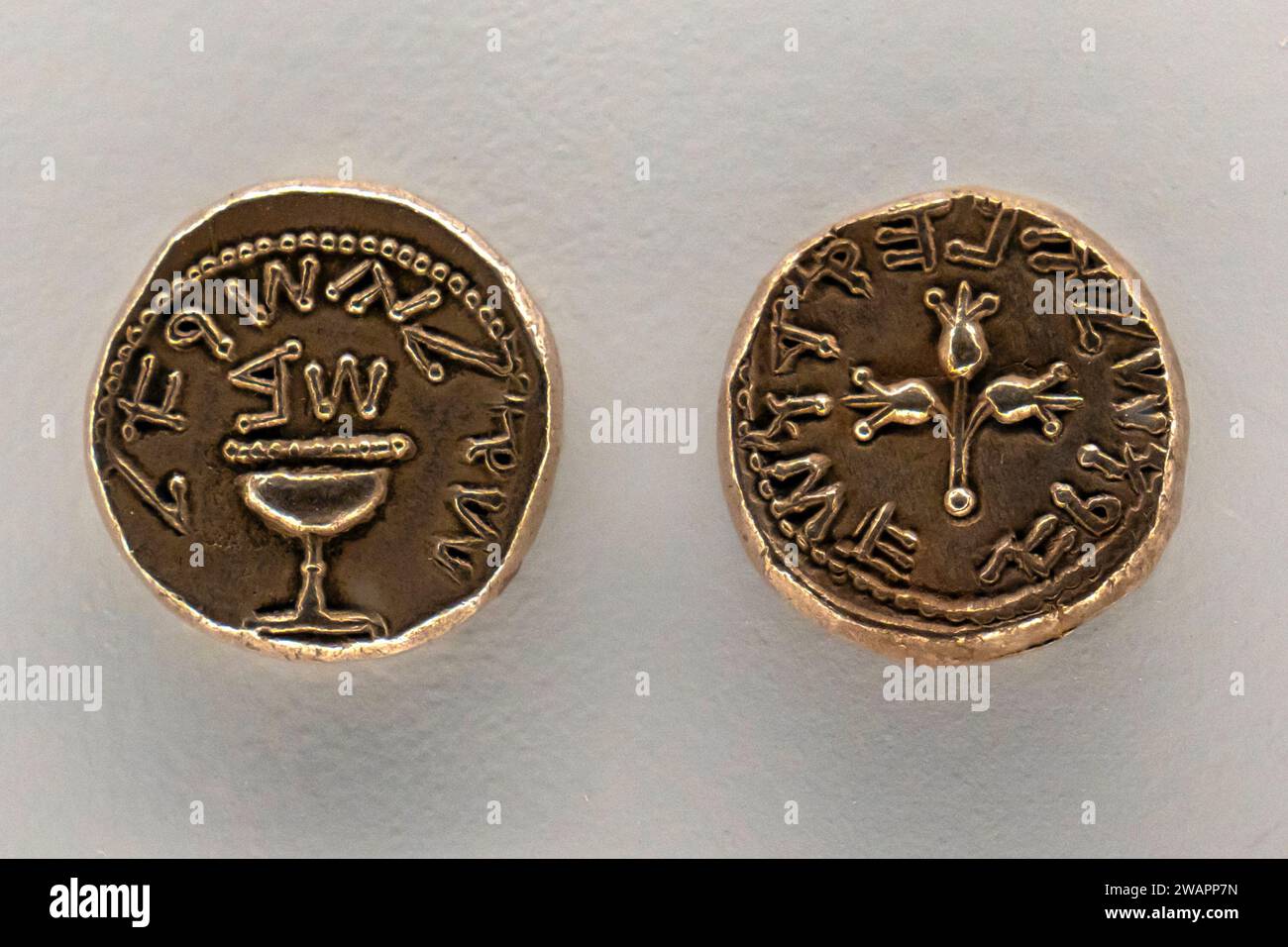 Front and rear of ancient Shekel from the 66-70 CE, Stock Photo