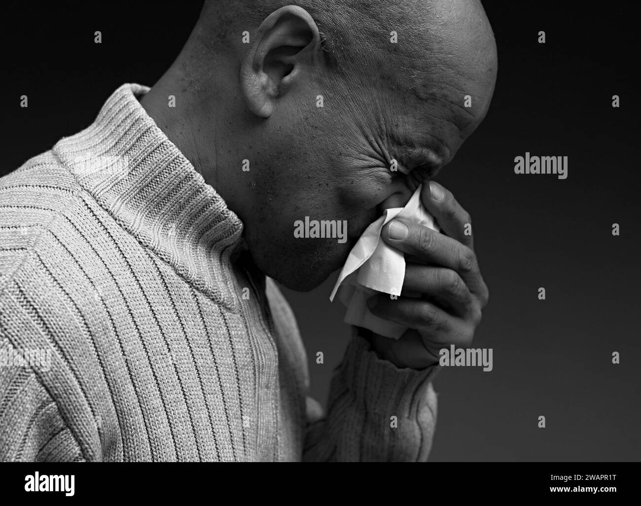 blowing nose after catching the cold and flu with grey background with people stock image stock photo Stock Photo