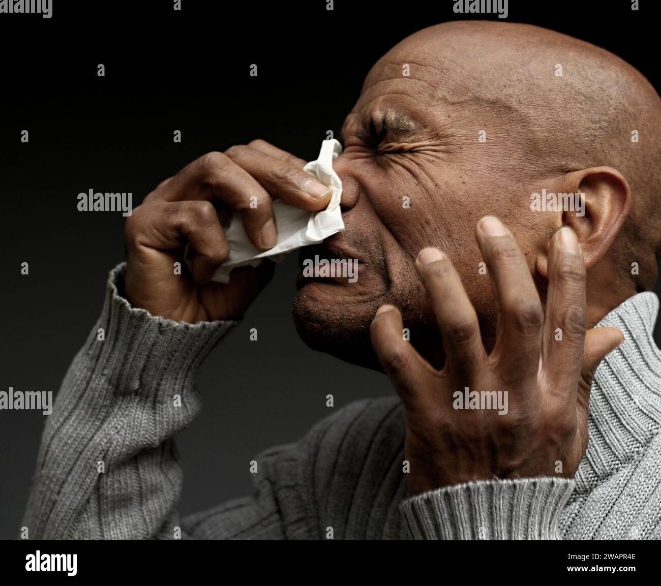 blowing nose after catching the cold and flu with grey background with