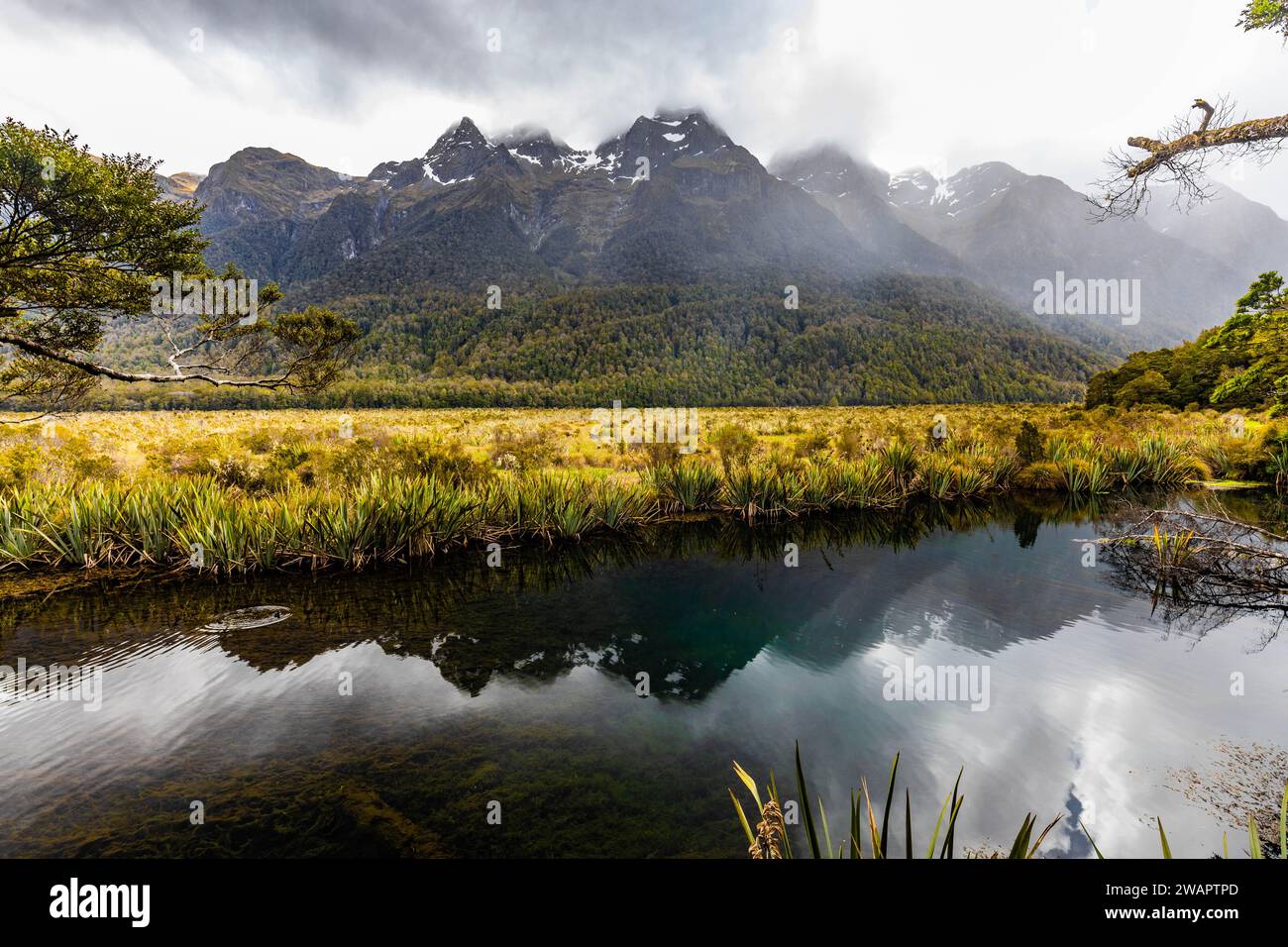 A scenic view of Mirror Lake in New Zealand on a cloudy day Stock Photo