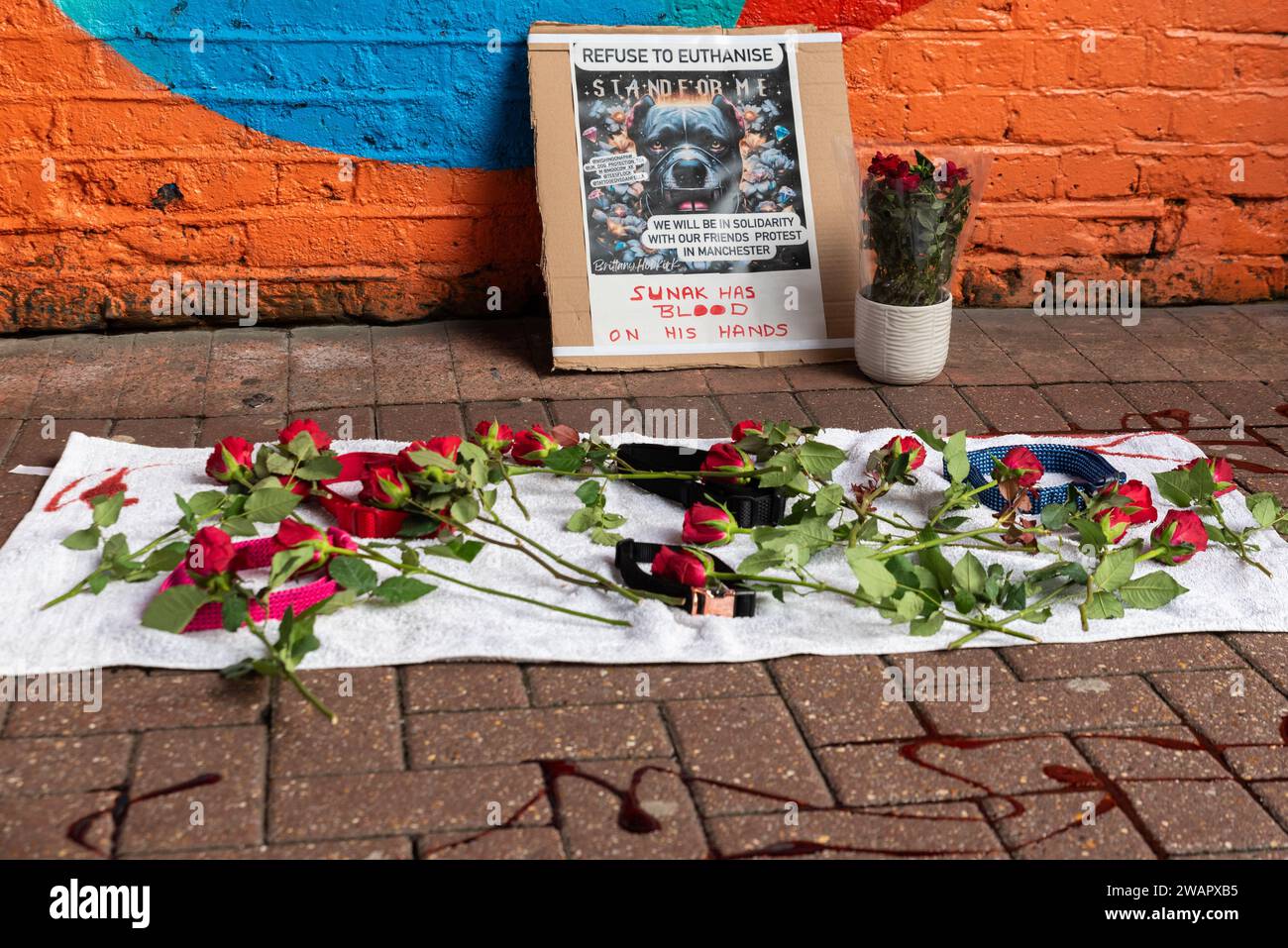 High Street, Southend on Sea, Essex, UK. 6th Jan, 2024. Protesters have