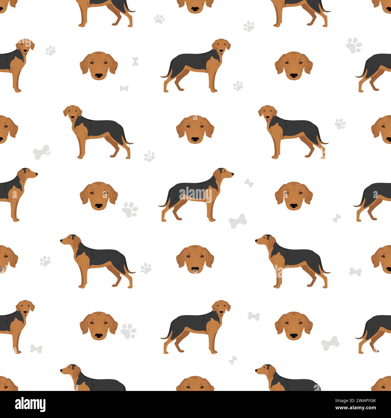 Serbian Hound seamless pattern. All coat colors set.  All dog breeds characteristics infographic. Vector illustration Stock Vector