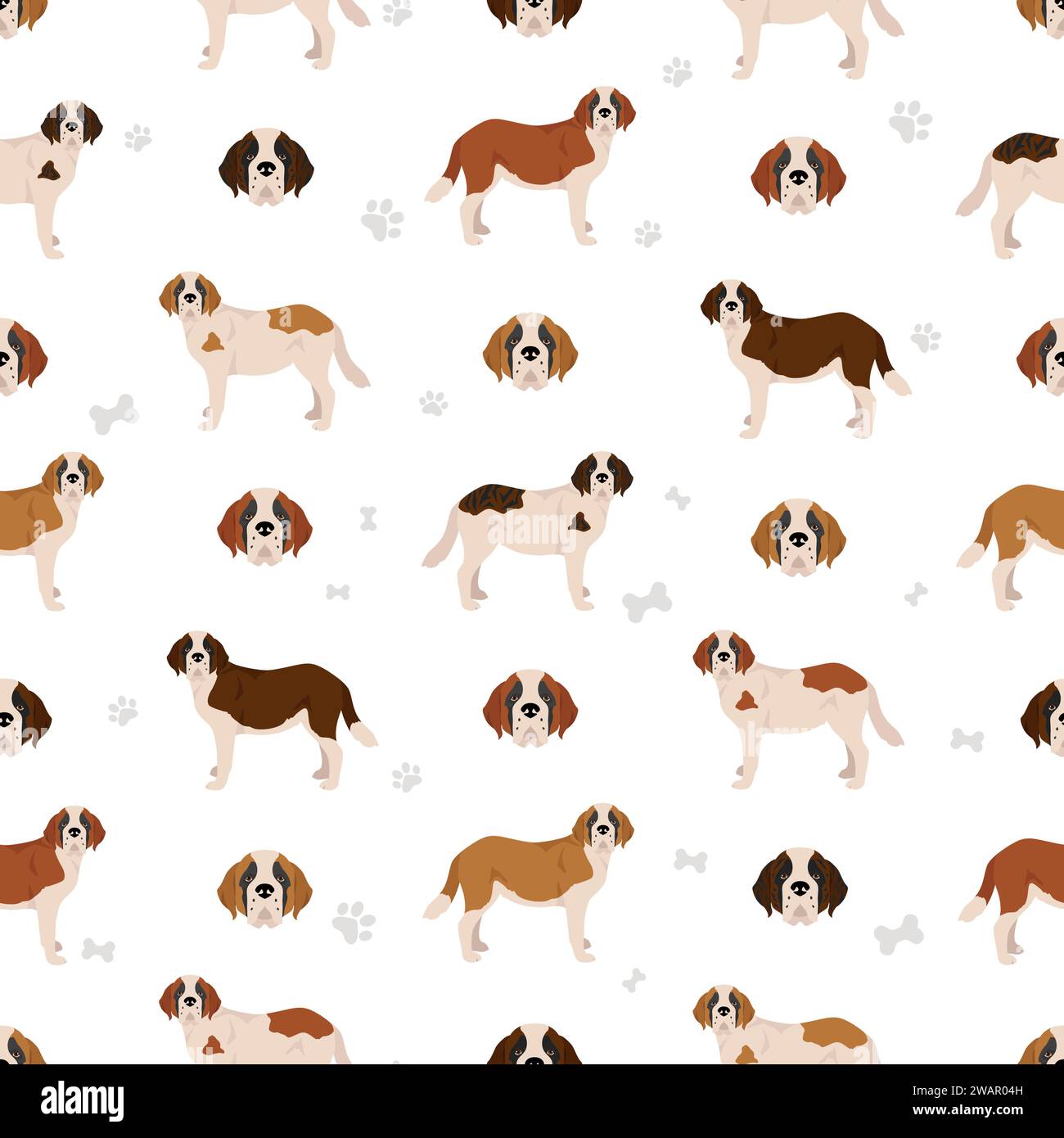 St Bernard shorthaired coat colors, different poses seamless pattern ...