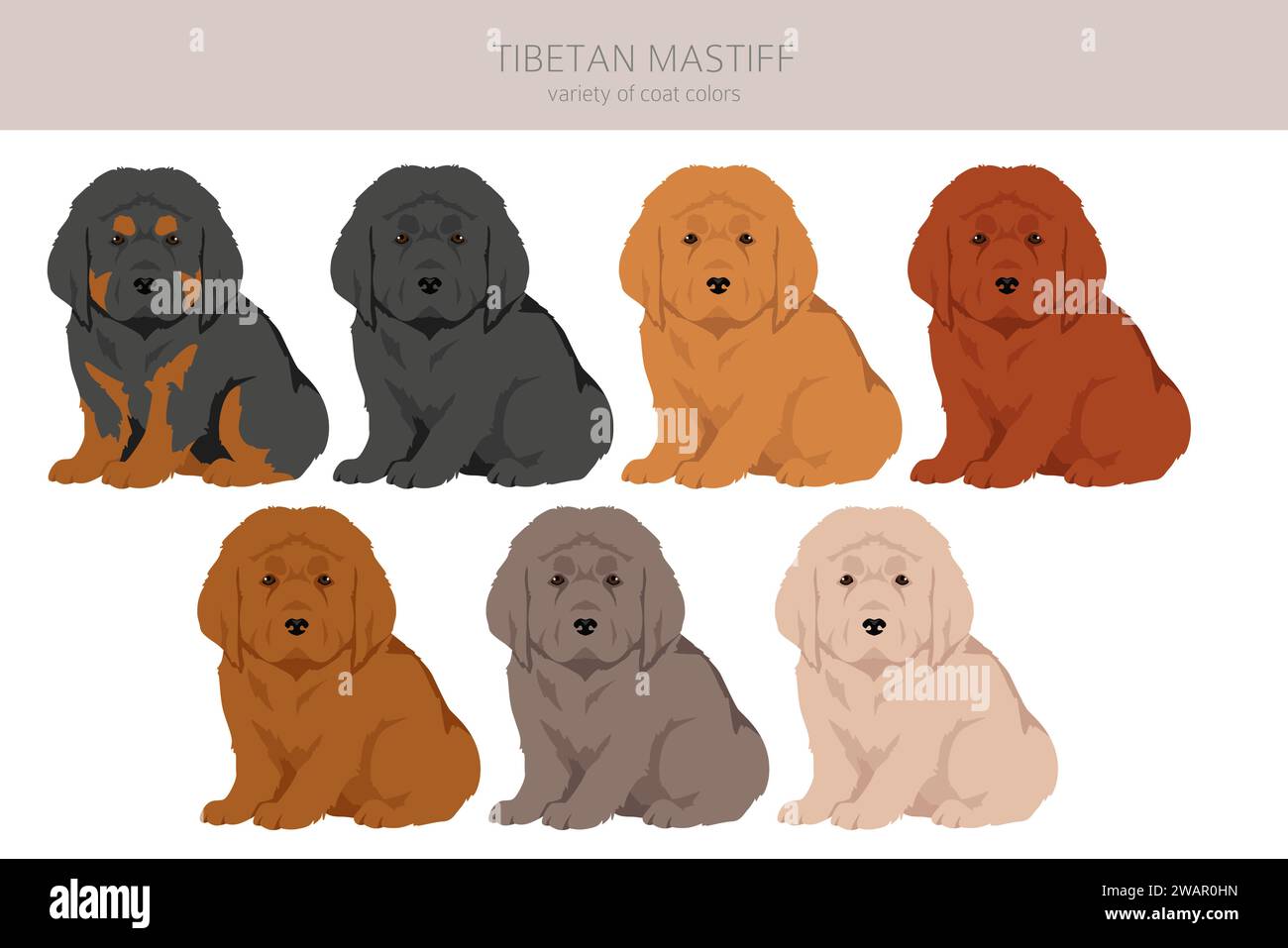 Tibetan mastiff puppies clipart. Different poses, coat colors set.  Vector illustration Stock Vector