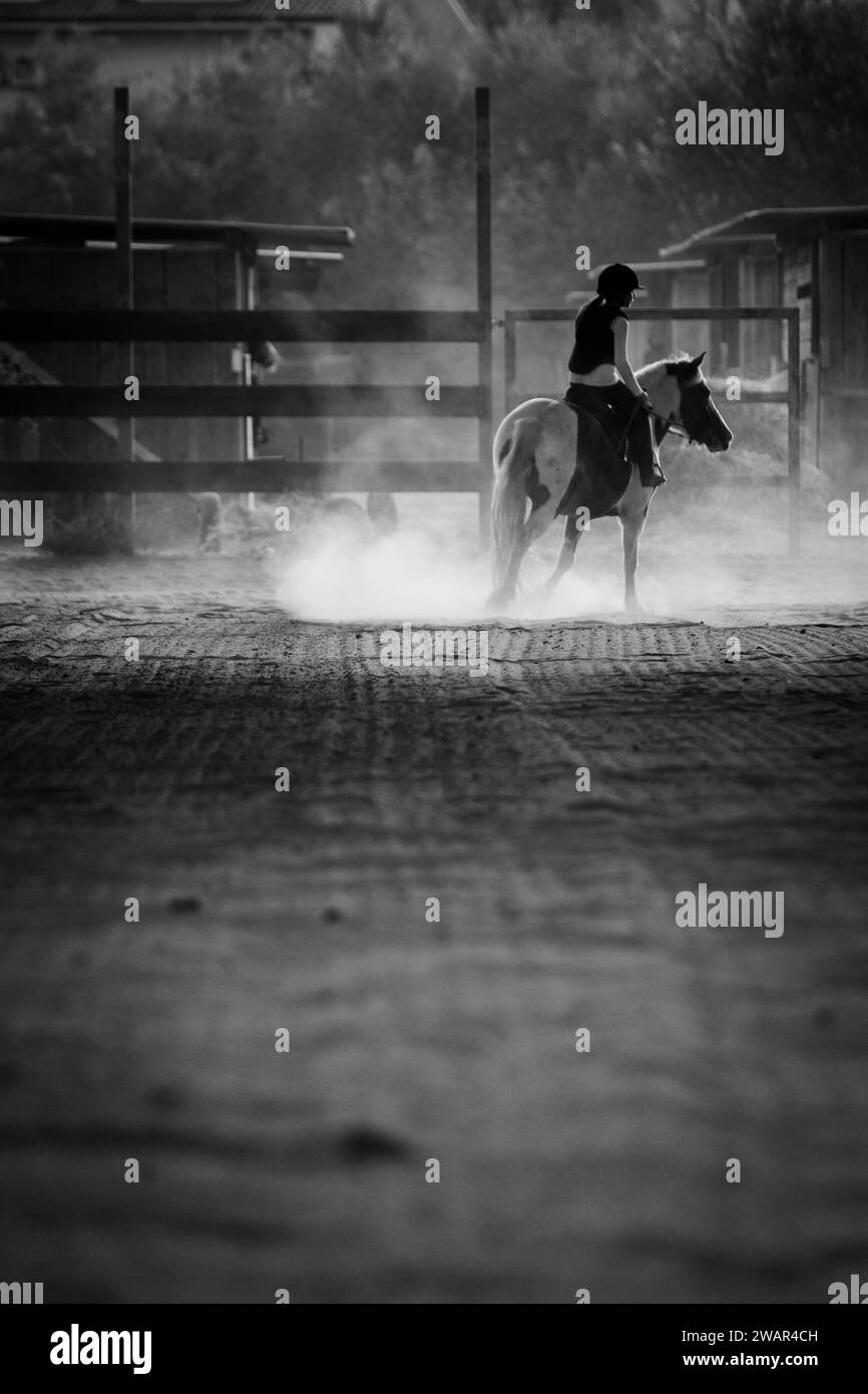 trotting horse for show jumping training Stock Photo Alamy