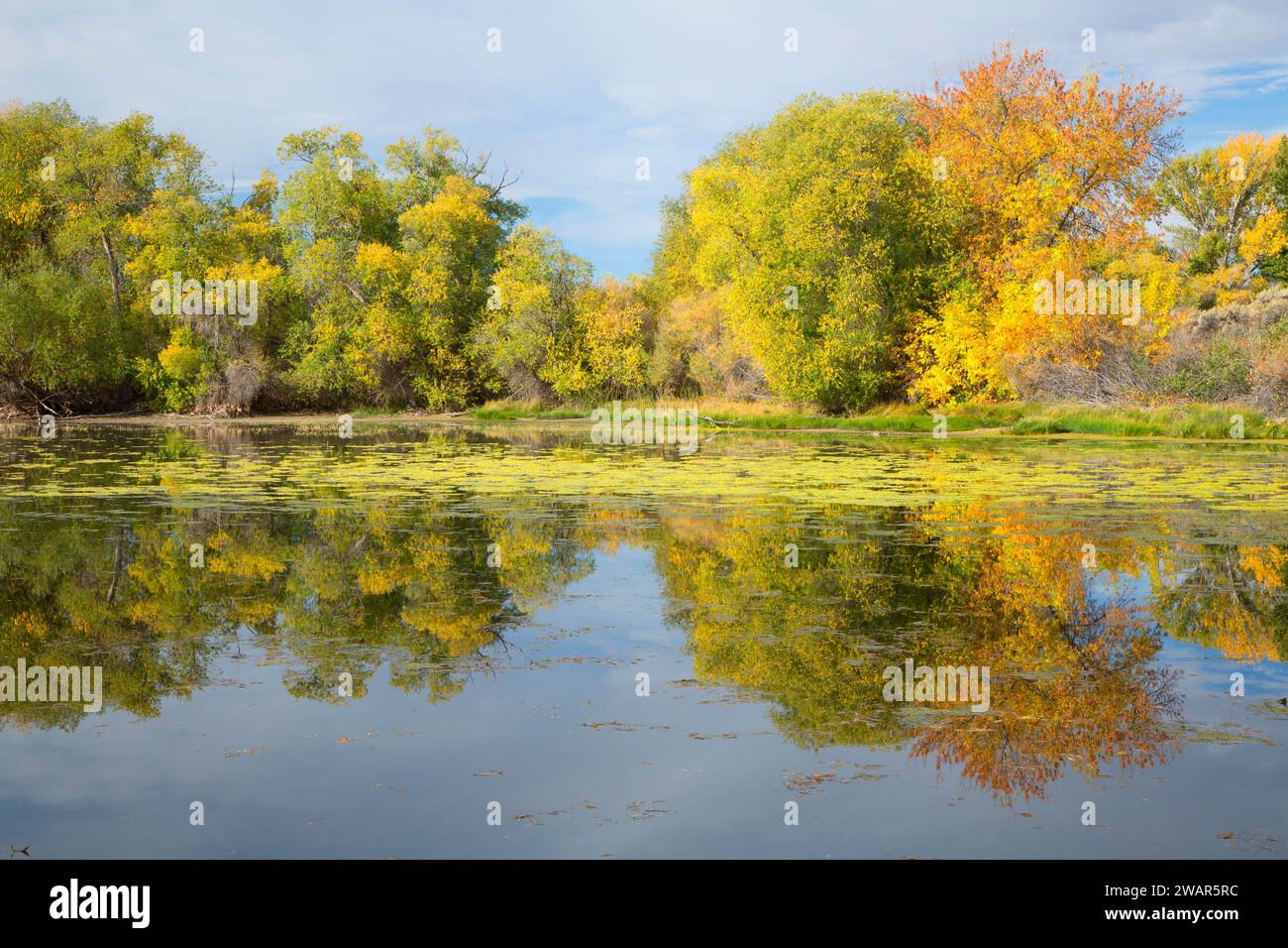 Mud lake wildlife management area hires stock photography and images
