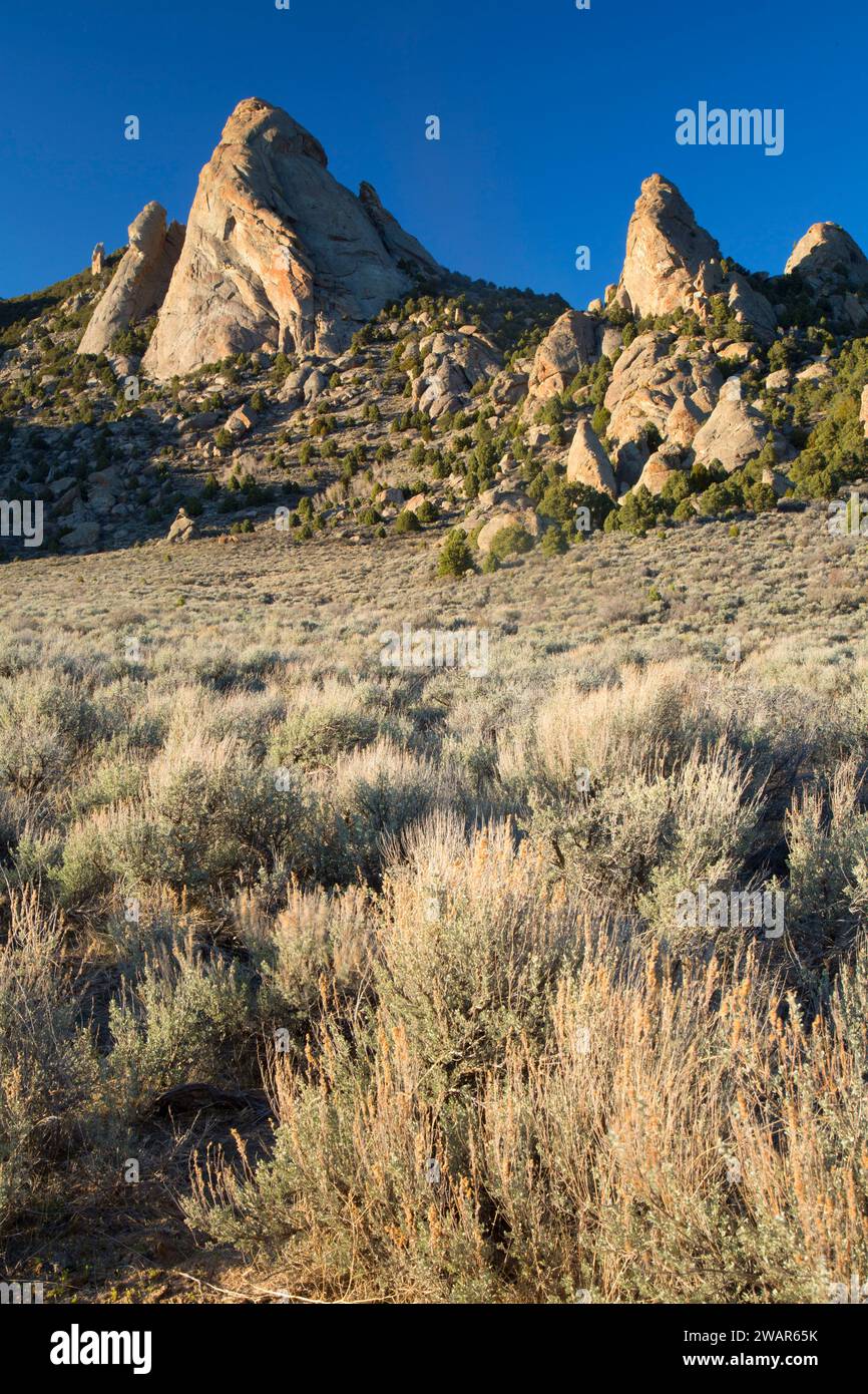 Steinfells Dome, City of Rocks National Reserve, Idaho Stock Photo