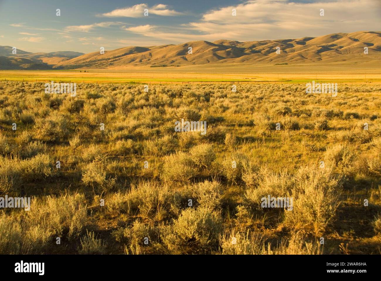 Ranchland, Lewis and Clark County, Montana Stock Photo