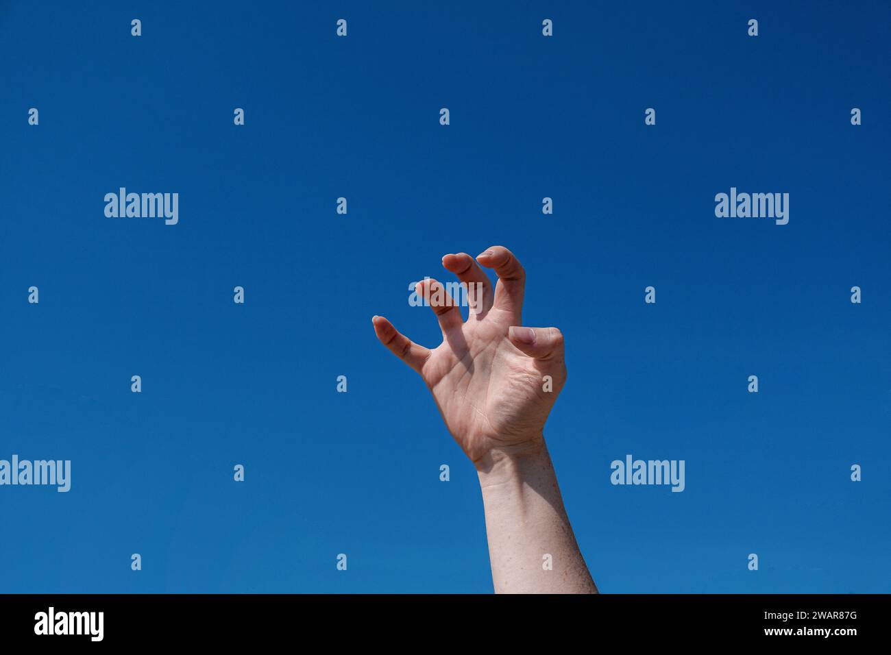 the hand shows the cat. The background is blue sky Stock Photo