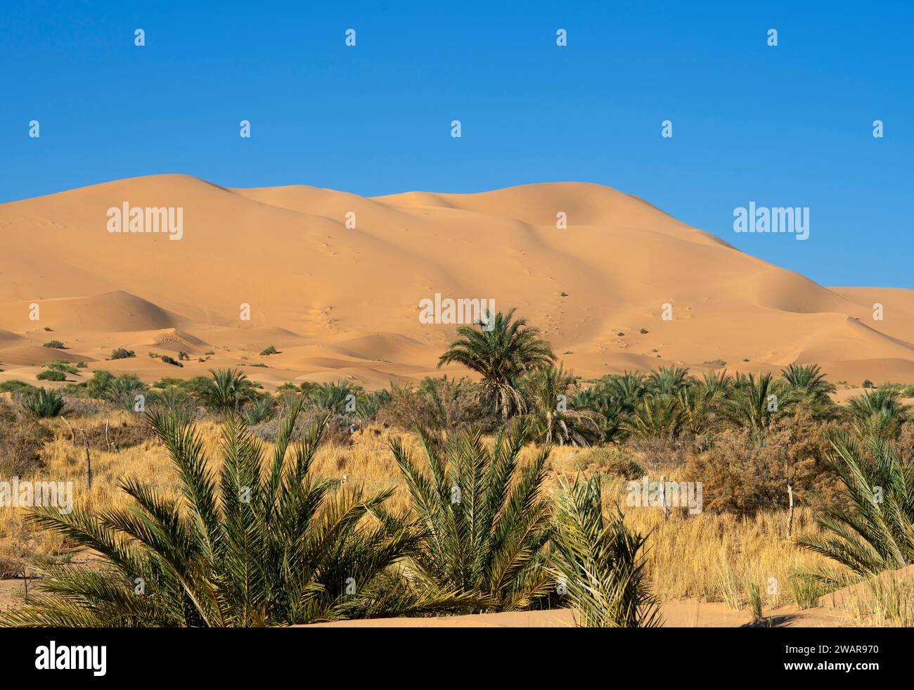 Dunes of Merzouga desert, Morocco Stock Photo