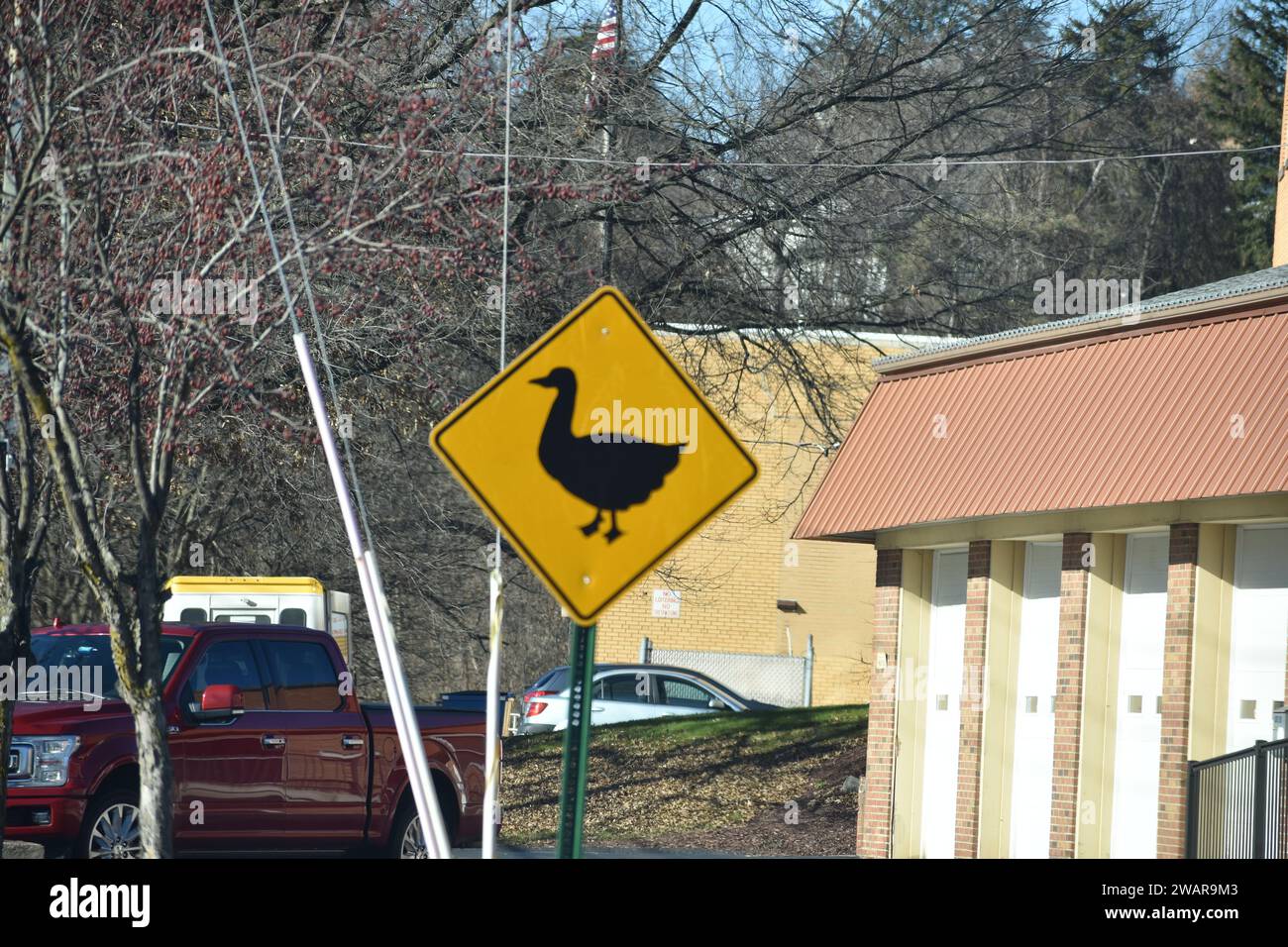 yellow duck crossing warning sign Stock Photo