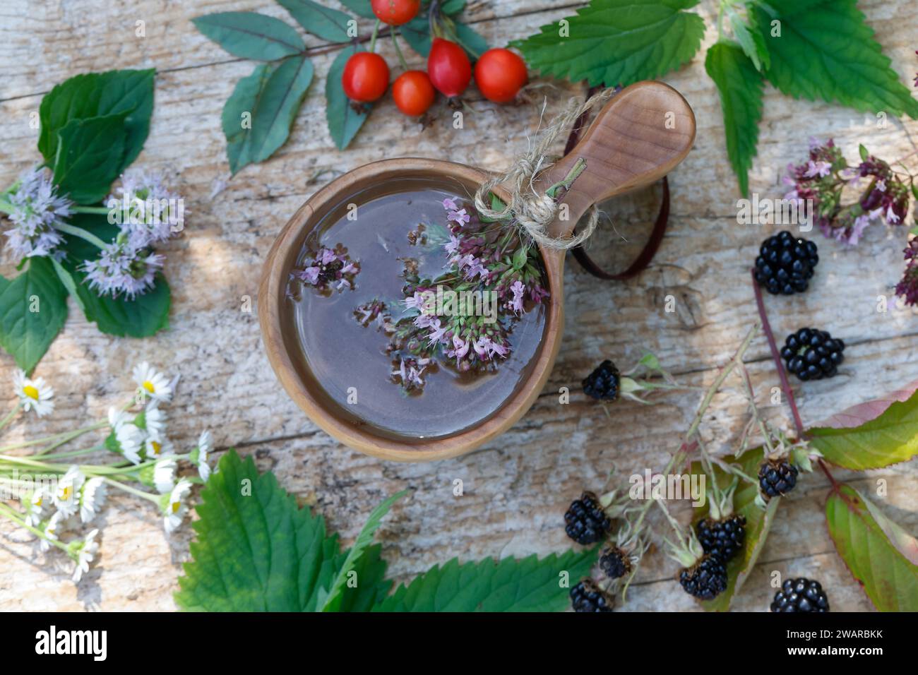 Tee strausschen hi-res stock photography and images - Alamy