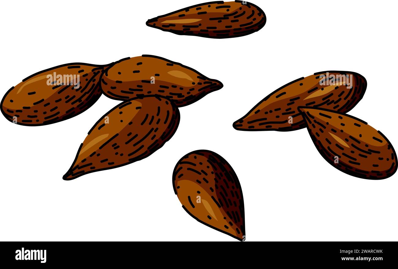dry flax sketch hand drawn vector Stock Vector Image & Art - Alamy