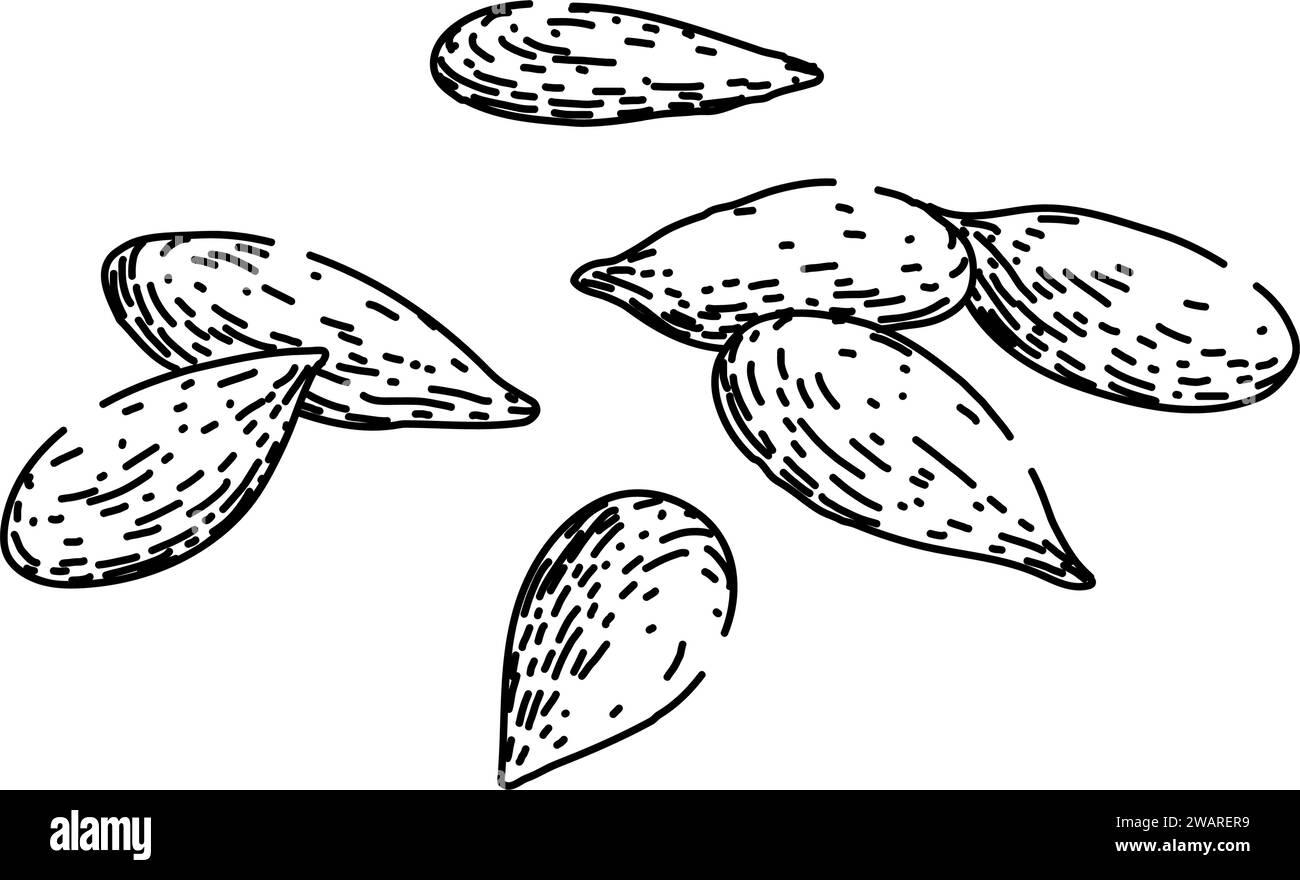 dry flax sketch hand drawn vector Stock Vector Image & Art - Alamy