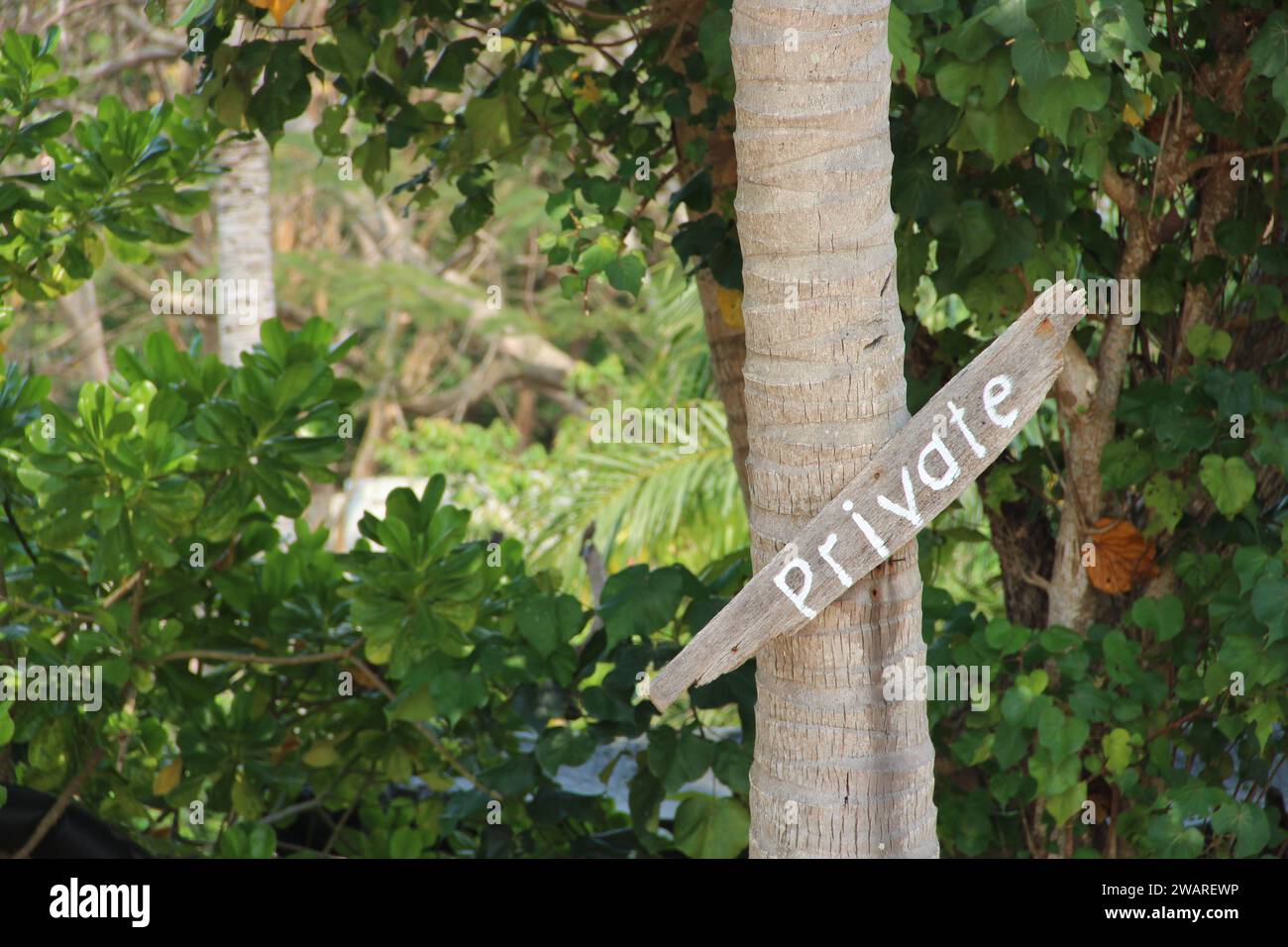 A sign with the label 'Private Land' is displayed on the trunk of a tree, indicating the restriction of access to the area Stock Photo