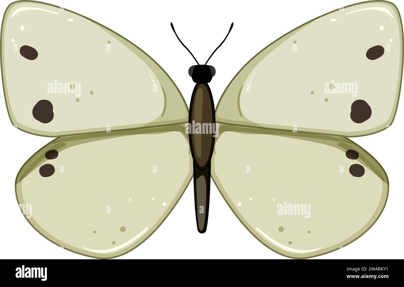Butteryfly Rash Cartoon insect butterfly cartoon vector illustration Stock Vector Image & Art ...
