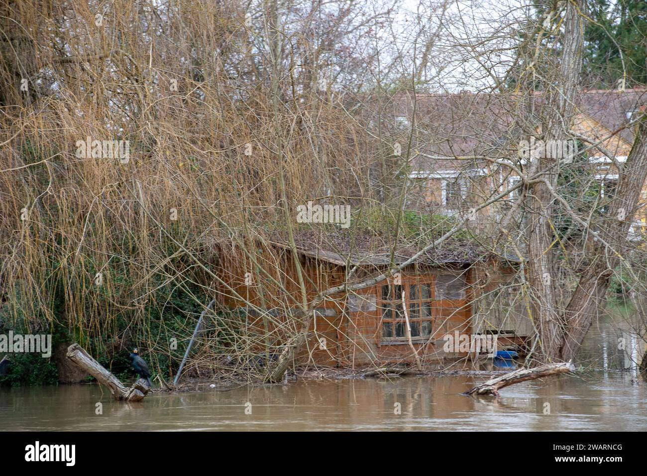 Old Windsor, UK. 6th January, 2024. A flooded garden in a house on Ham Island in Old Windsor