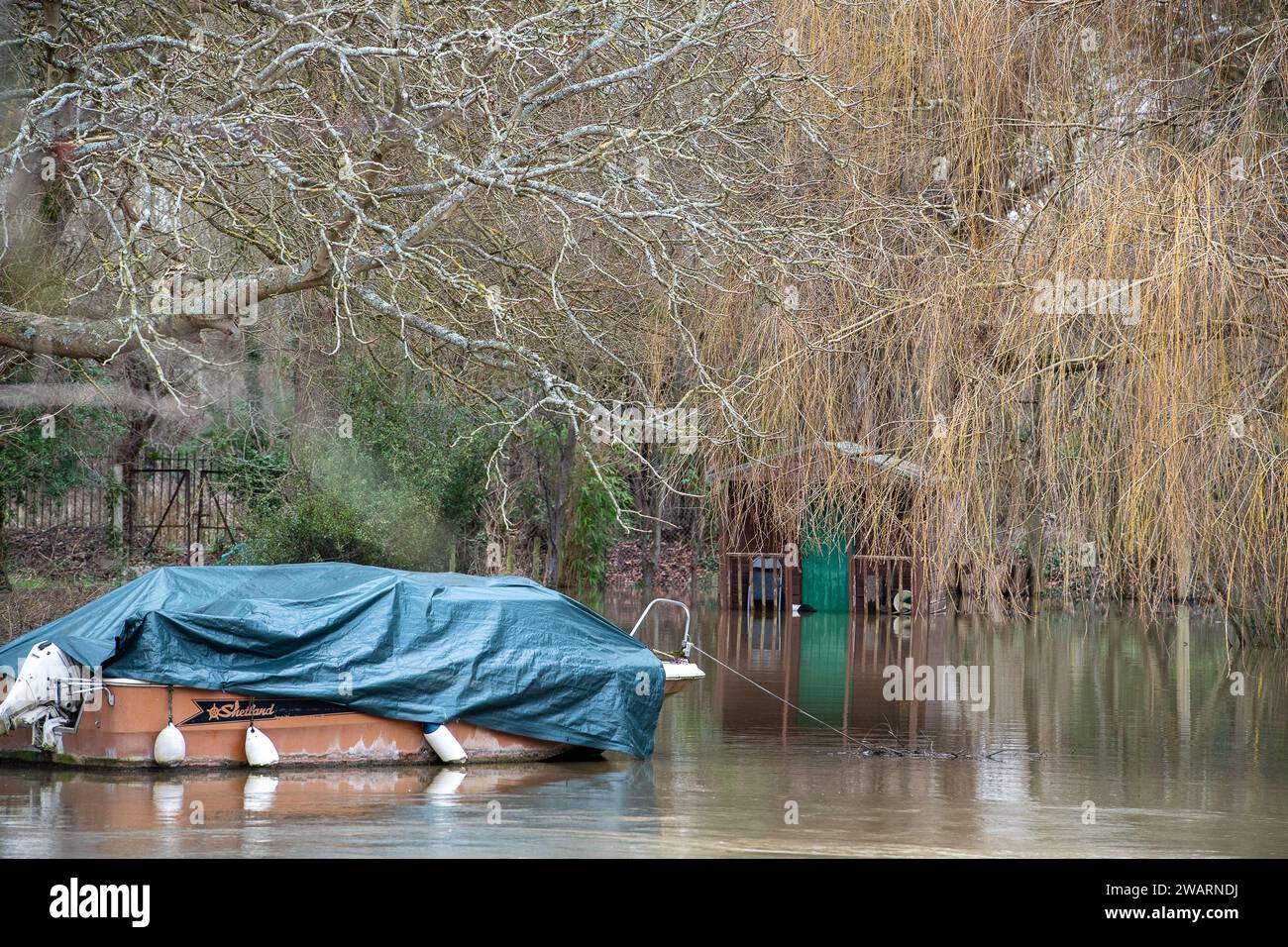 Old Windsor, UK. 6th January, 2024. A flooded garden in a house on Ham Island in Old Windsor
