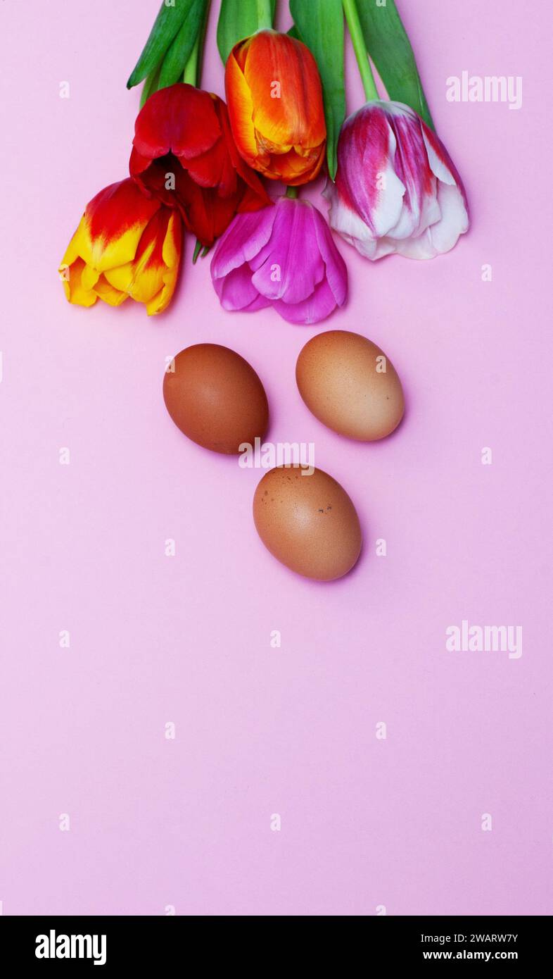 Tulips and Easter Eggs flatlay. Bouquet of different red tulips with ...