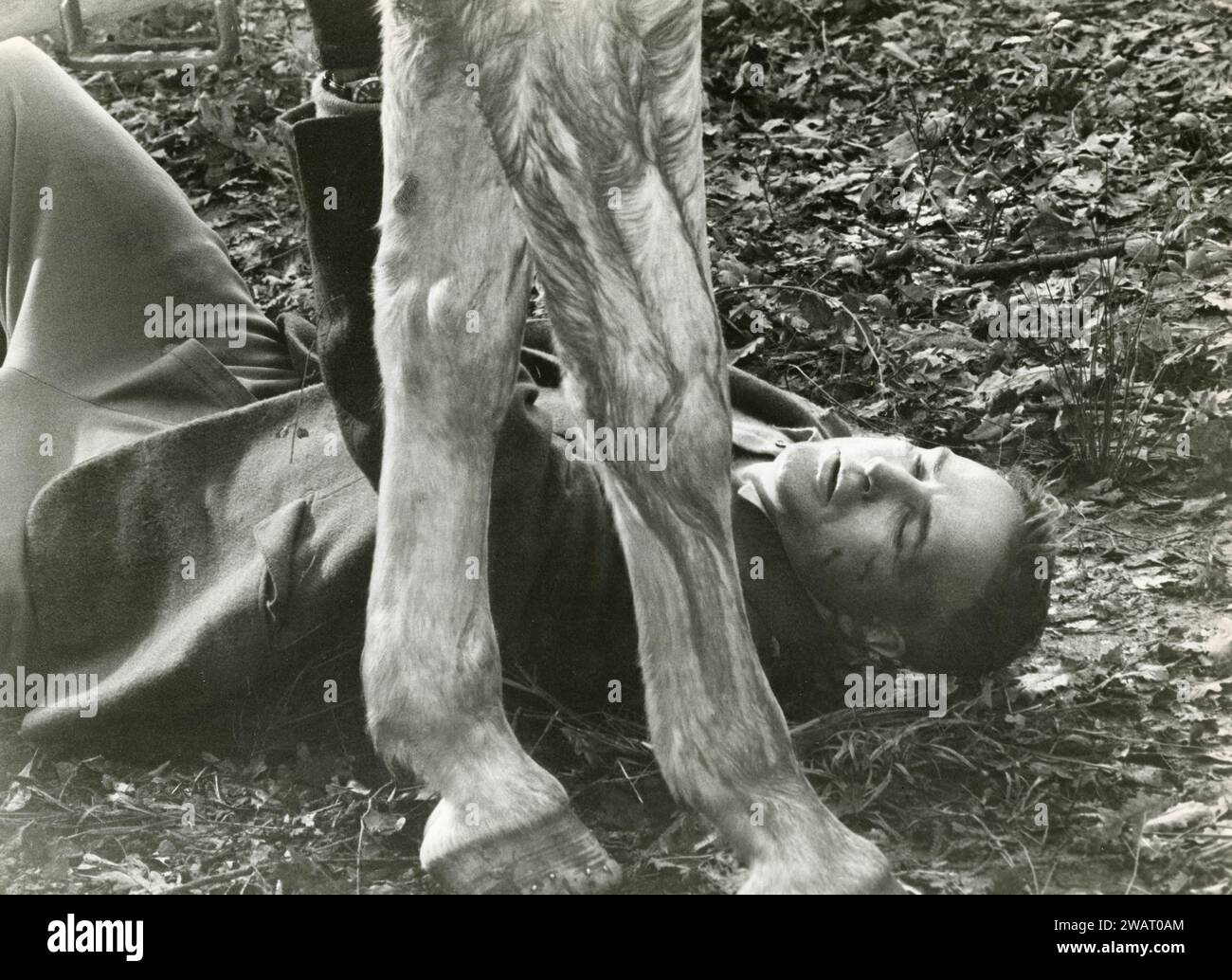 American actor Marlon Brando in the movie Reflections in a Golden Eye, USA 1967 Stock Photo