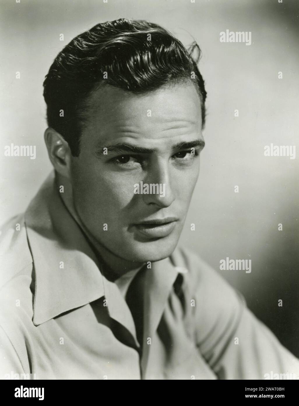 Portrait of American actor Marlon Brando, USA 1950s Stock Photo