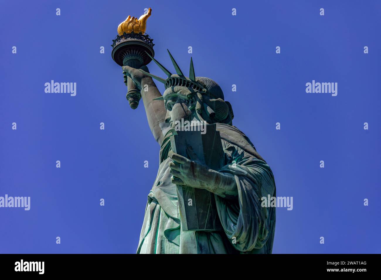 Stunning Deer At Statue Of Liberty Pictures
