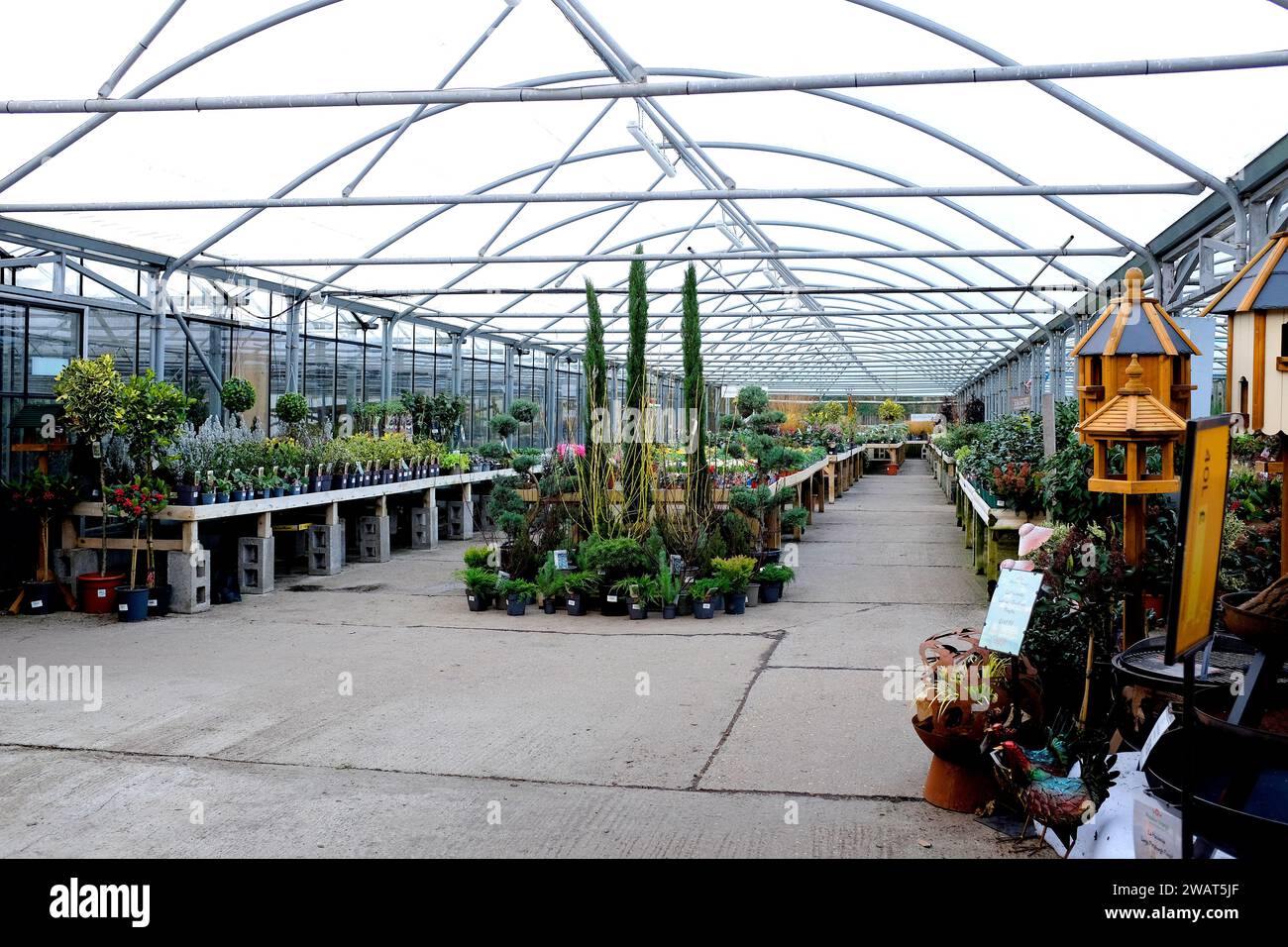 meadow grange nursery and garden centre,whitstable,canterbury,kent,uk