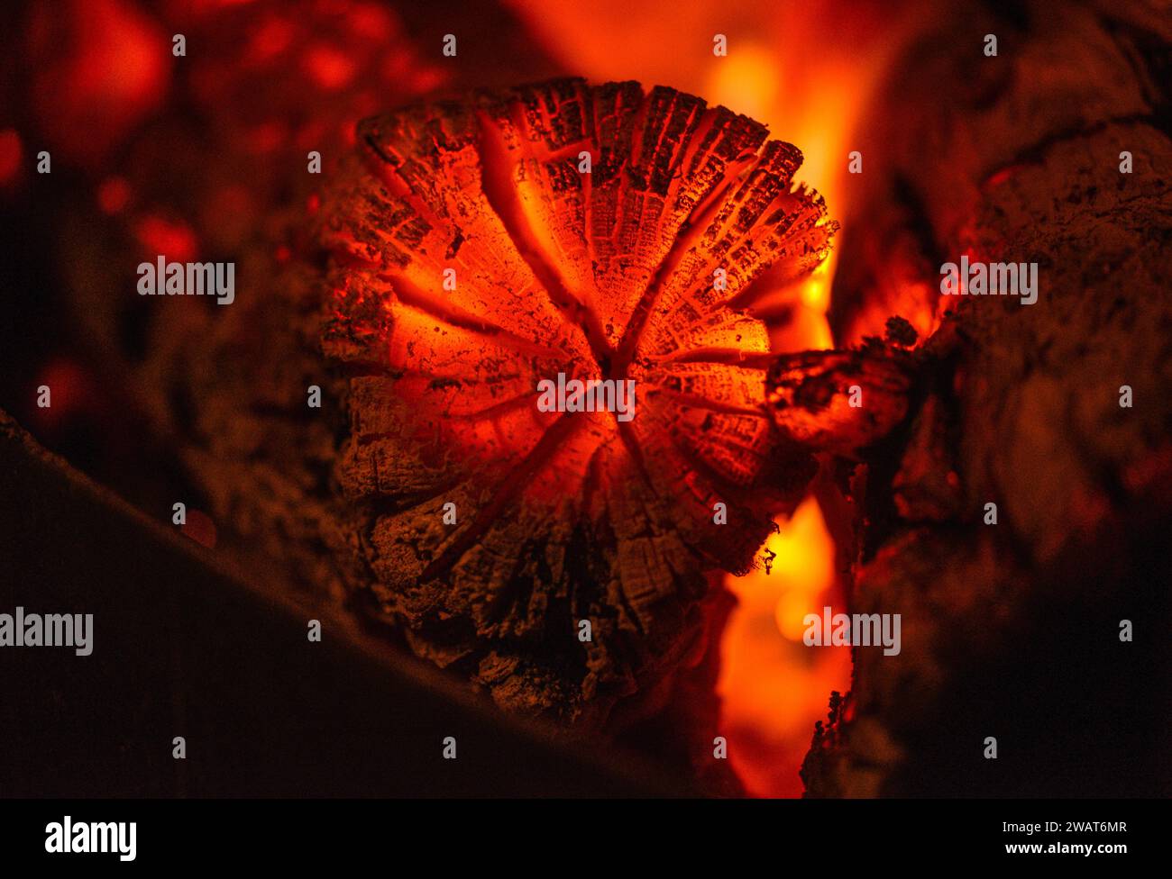 Ein Holzofen mit gluehenden Holzscheiten Symbolbild Neue Verordnung ab