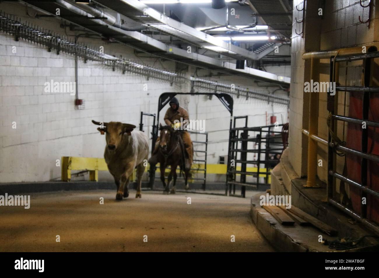Madison Square Garden, 4 Pennsylvania Plaza, New York, NY 10001 USA
