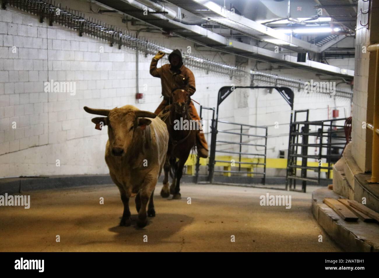Madison Square Garden, 4 Pennsylvania Plaza, New York, NY 10001 USA