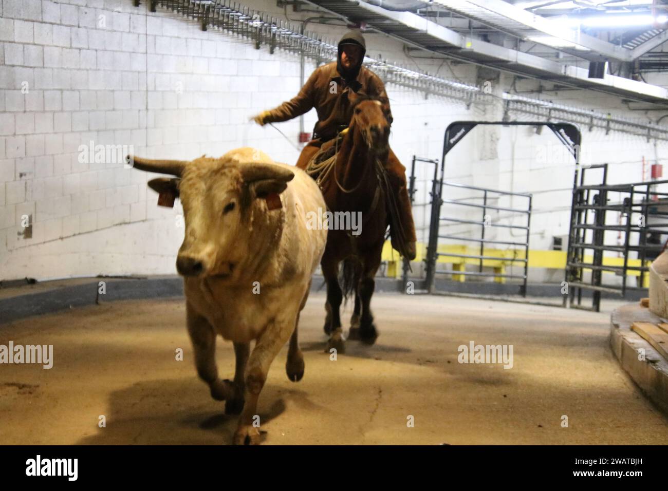 Madison Square Garden, 4 Pennsylvania Plaza, New York, NY 10001 USA