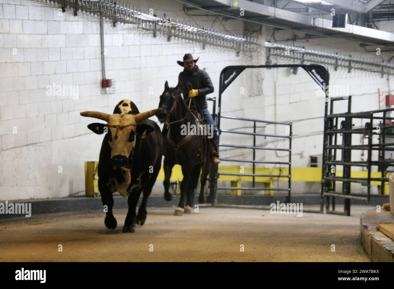 Madison Square Garden, 4 Pennsylvania Plaza, New York, NY 10001 USA