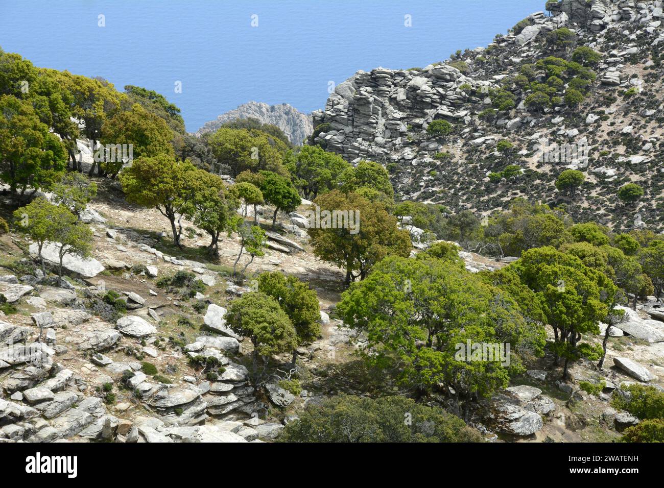 A steep rocky mountainside and cliffs perched over the Aegean Sea, on the south coast of the Greek Island of Ikaria, near Karkinagri, Greece. Stock Photo