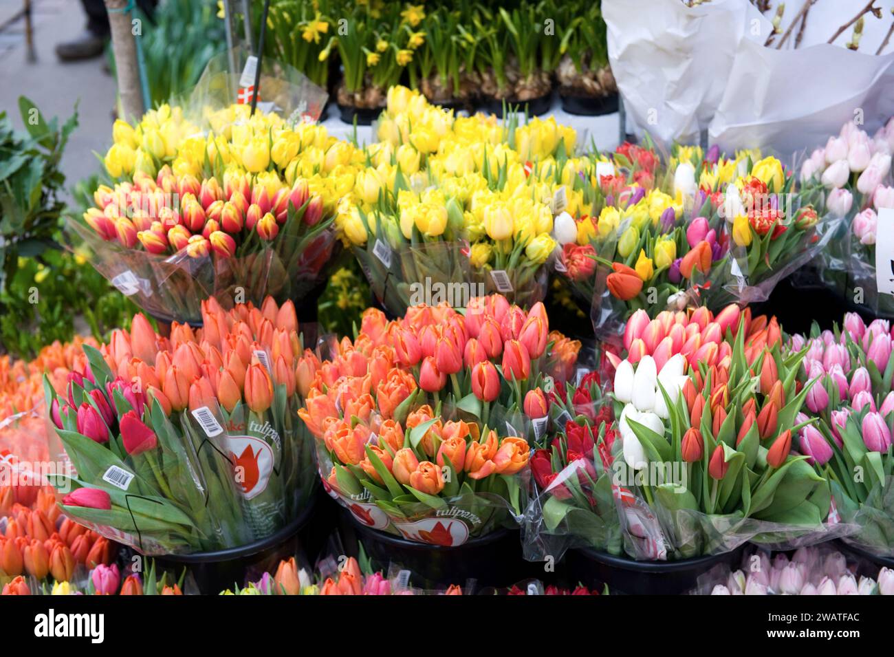 City scenes from Copenhagen, Denmark March, 2010 Stock Photo - Alamy