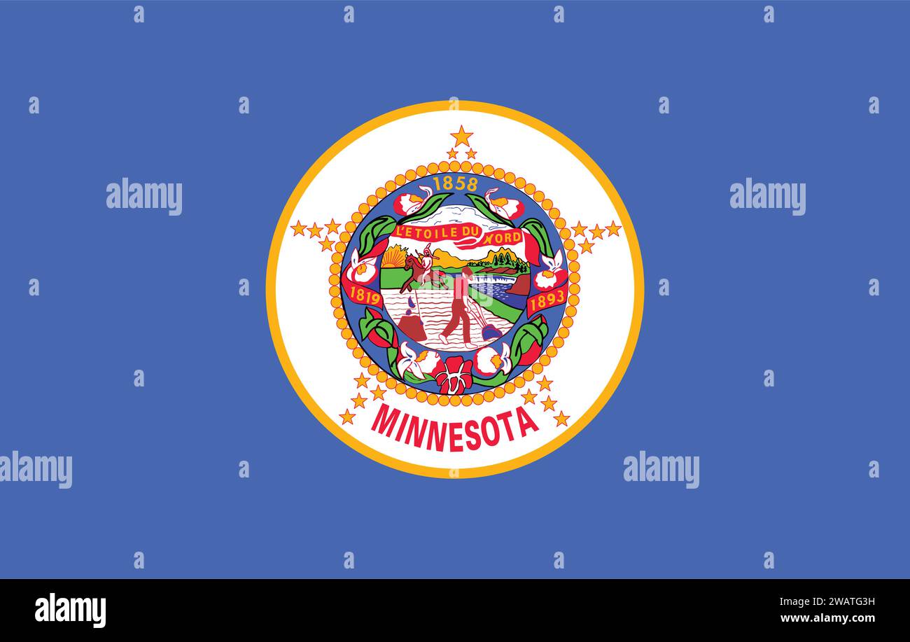 MINNESOTA STATE FLAG 50STATES visual data 4