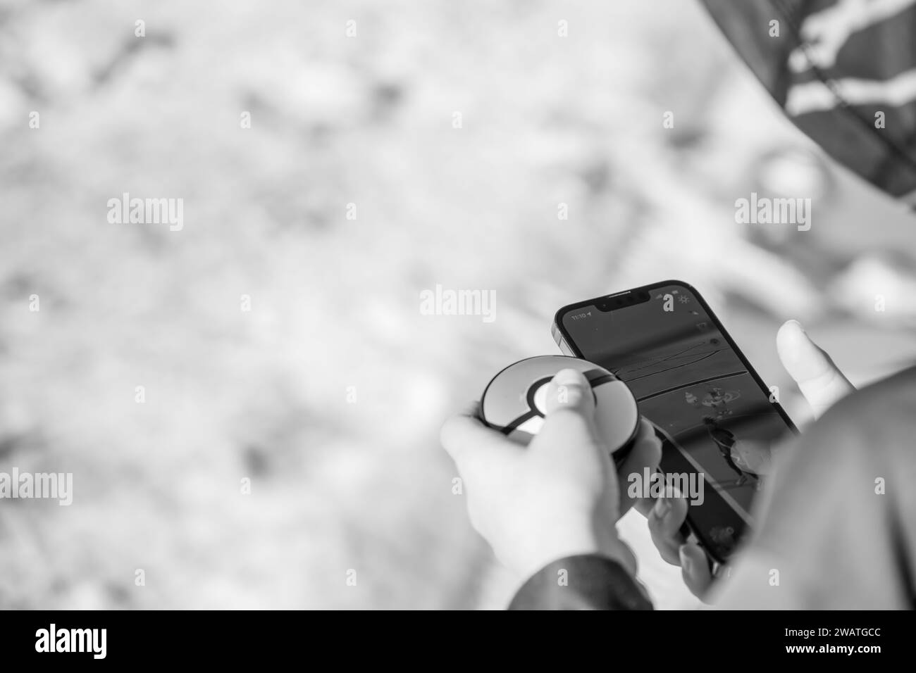 Pokemon quest Black and White Stock Photos & Images - Alamy