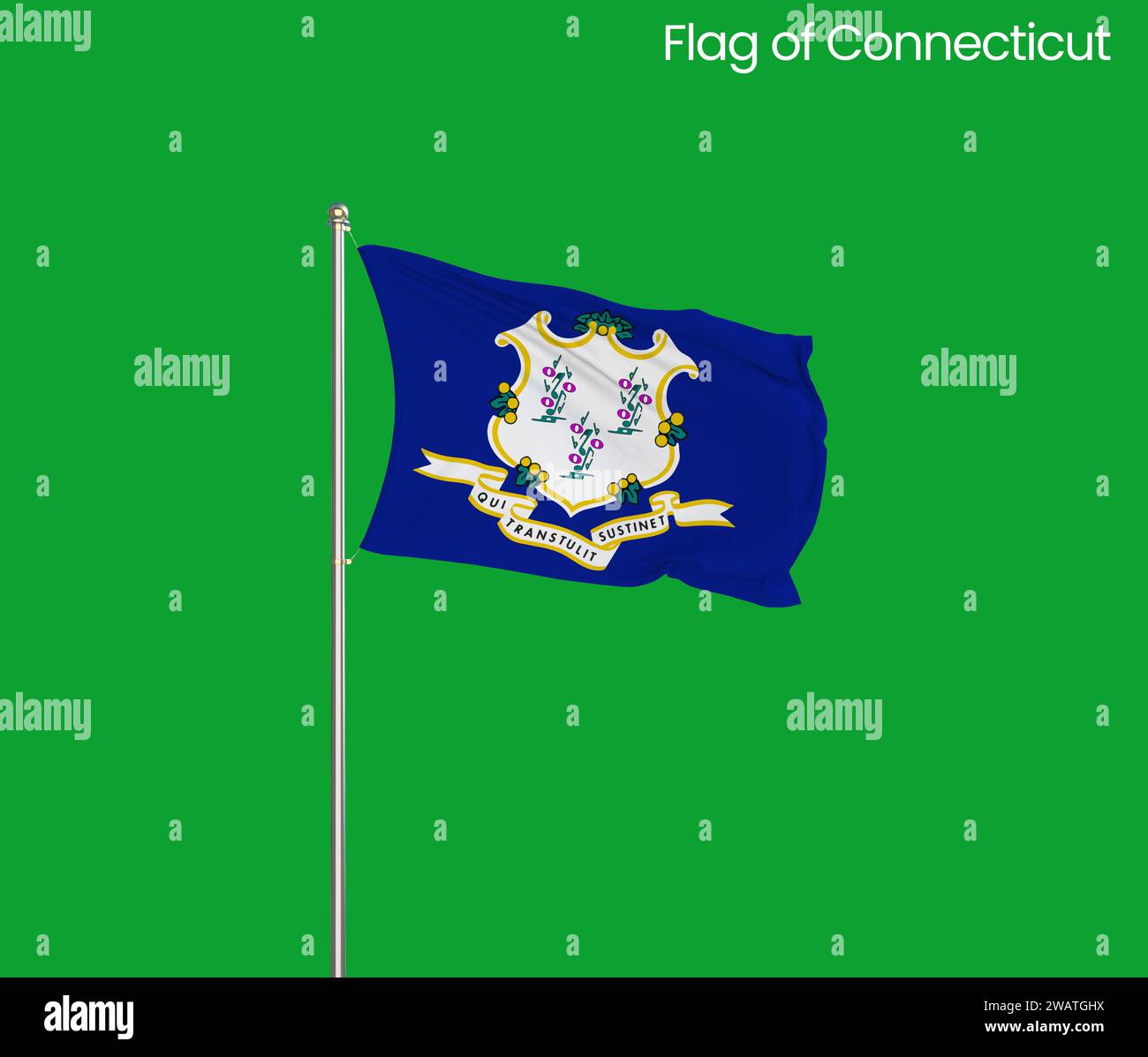 High detailed flag of Connecticut. Connecticut state flag, National Connecticut flag. Flag of state Connecticut. USA. America. Stock Photo