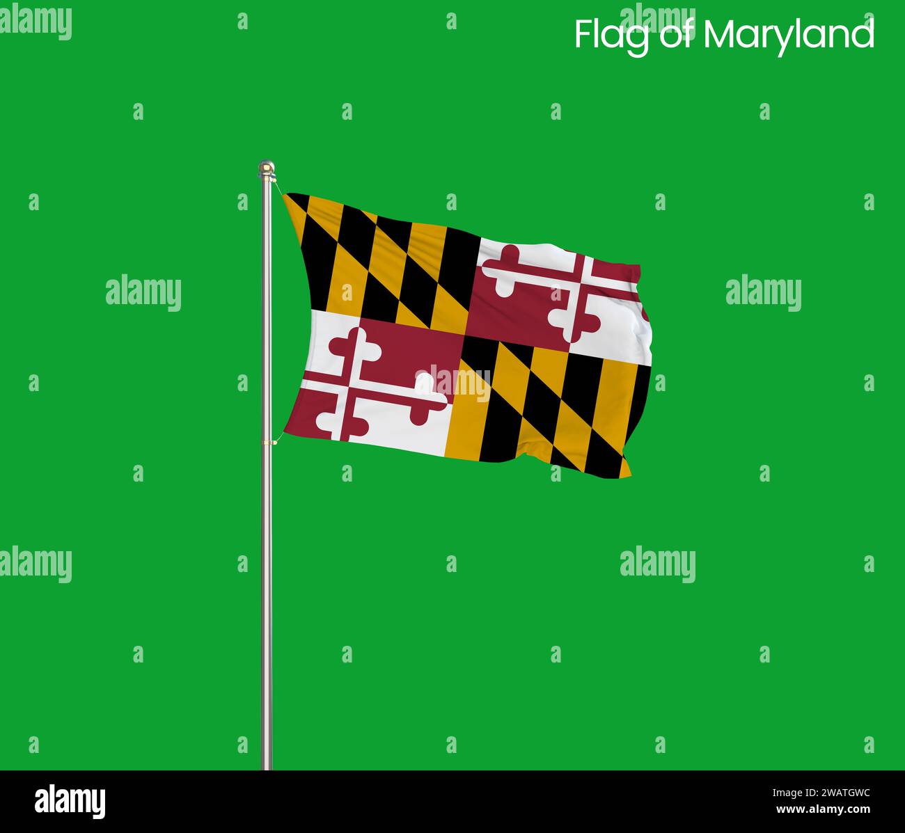 High detailed flag of Maryland. Maryland state flag, National Maryland ...