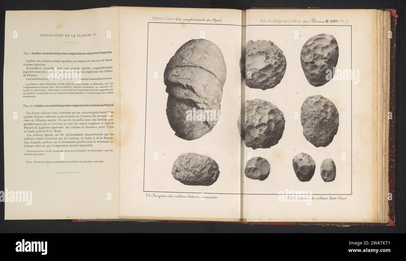 Collection of agglomerated rocks, anonymous, c. 1884 - in or before 1889 photomechanical print   paper collotype rock types Stock Photo