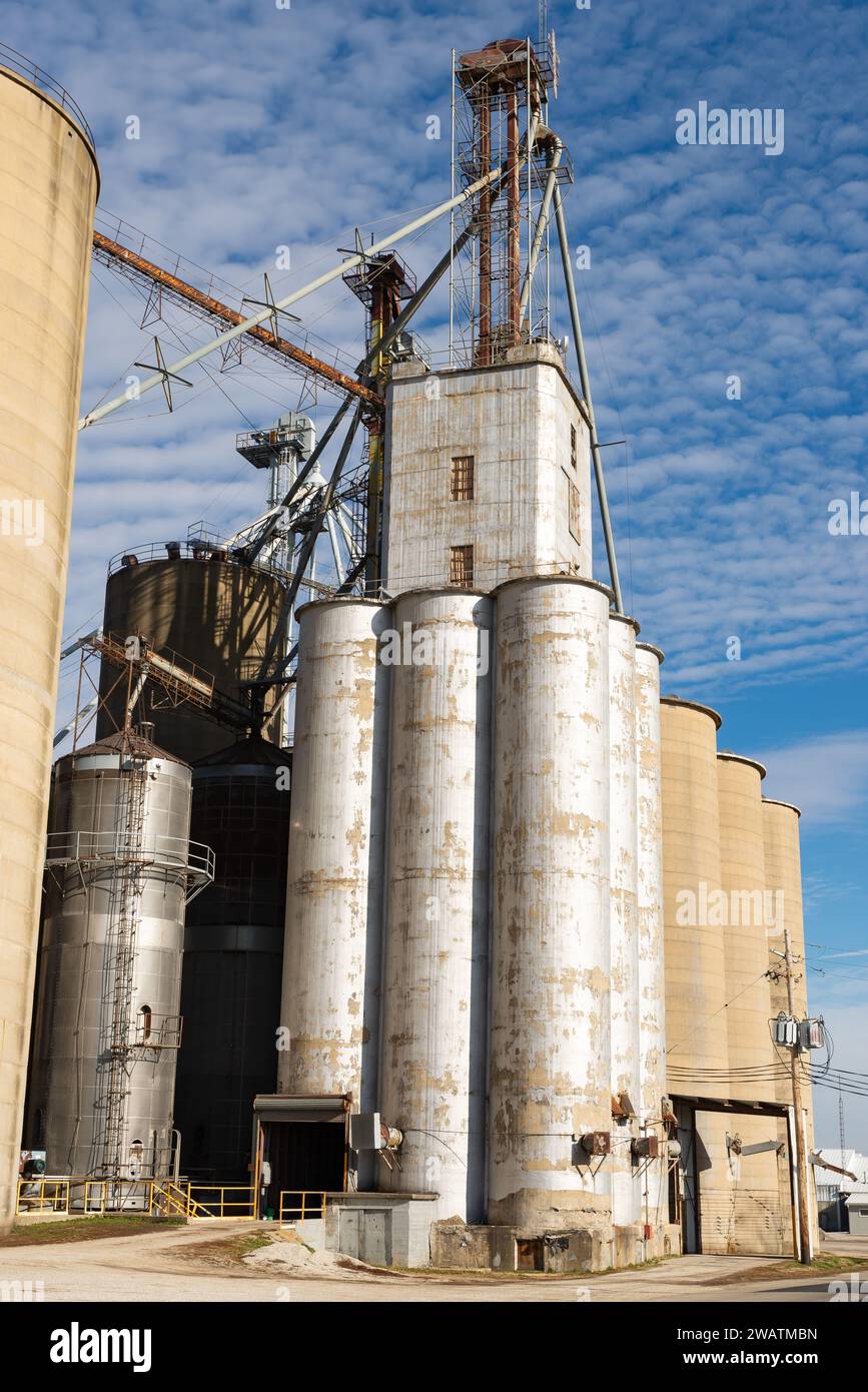 Industrial grain elevator and silos in downtown Flanagan, Illinois, USA
