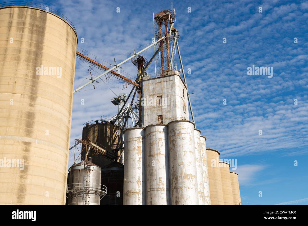 Industrial grain elevator and silos in downtown Flanagan, Illinois, USA